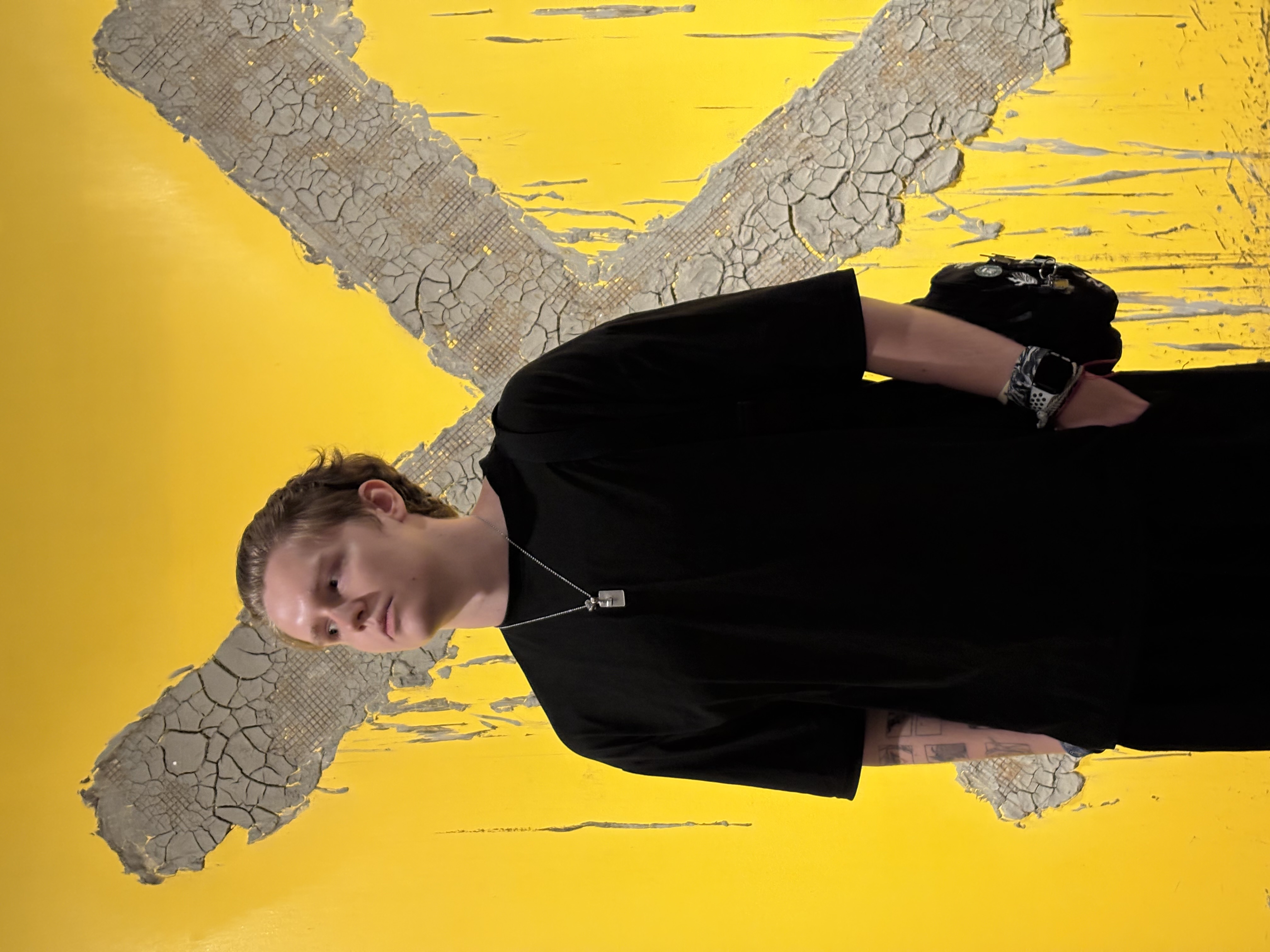 Nick Shubin - Professional English Tutor